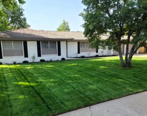 Lawn Maintenance 1