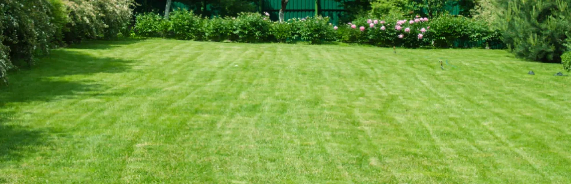 Lawn Maintenance breadcrumb