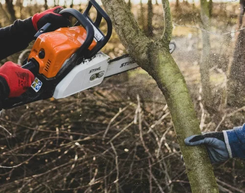 Tree Trimming and Removal